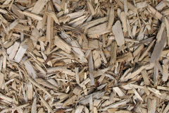 biomass boilers Teston
