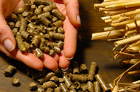 free Teston biomass boiler quotes