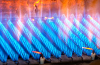 Teston gas fired boilers